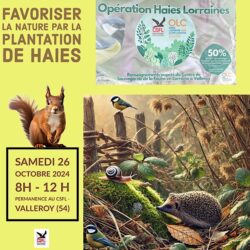 Plantons des haies pour protéger la nature !